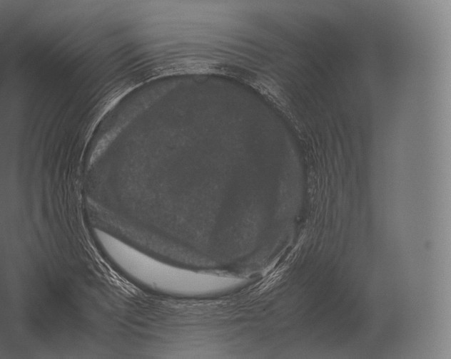 X0000060281081200511241515