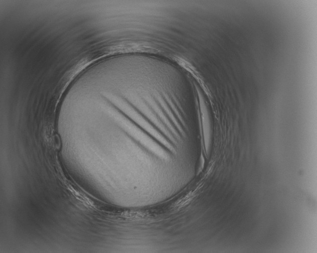 X0000060281089200511241515