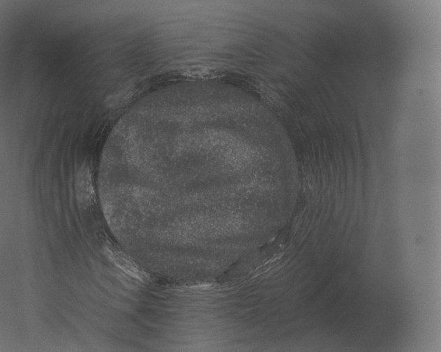 X0000060281106200511241514