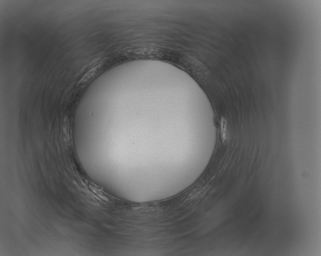 X0000060281107200511241514