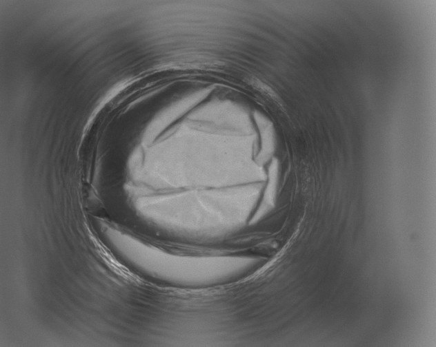 X0000060281114200511241514