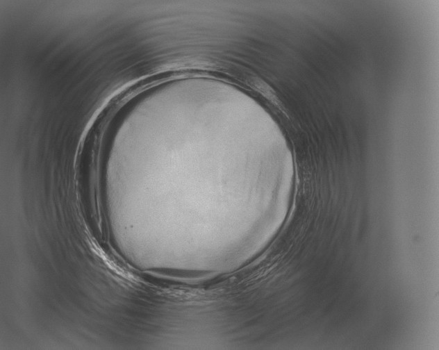 X0000060281116200511241514