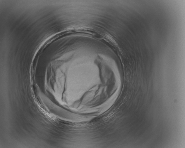 X0000060281124200511241514