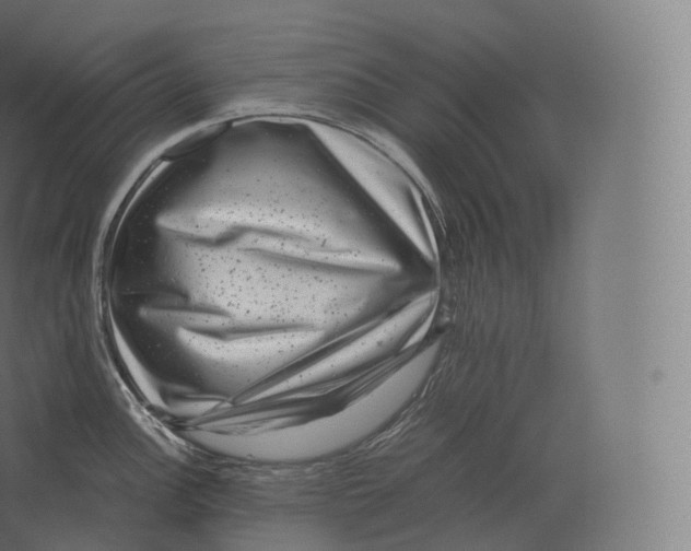 X0000060281148200511241514