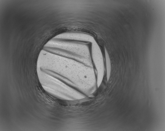 X0000060281153200511241513