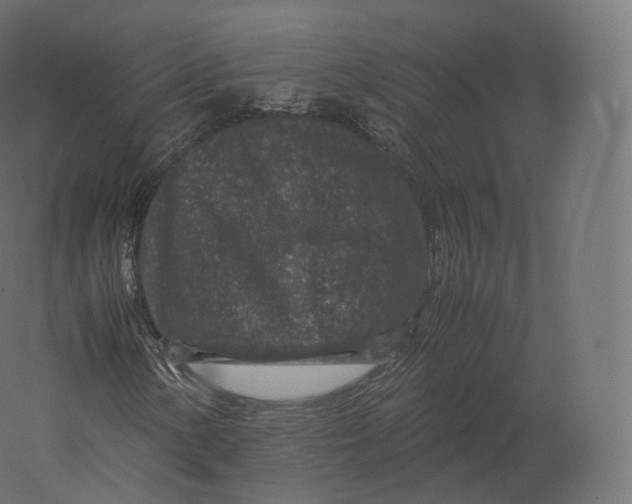 X0000060281154200511241513