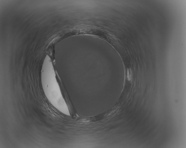 X0000060281155200511241513