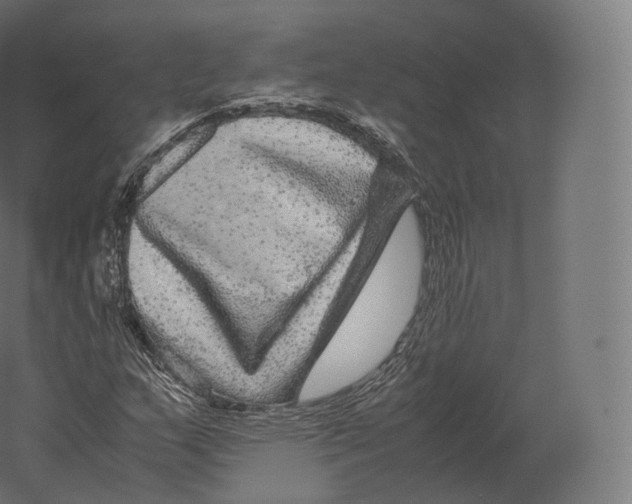 X0000060281159200511241513