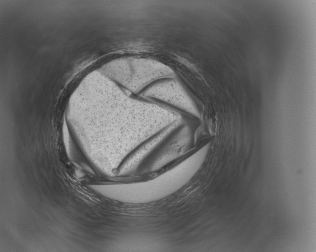 X0000060281160200511241513