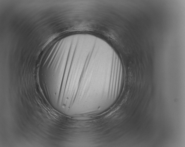 X0000060281162200511241513