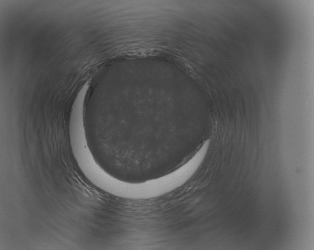 X0000060281202200511241512