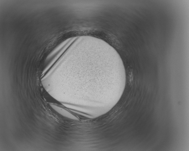 X0000060281204200511241512
