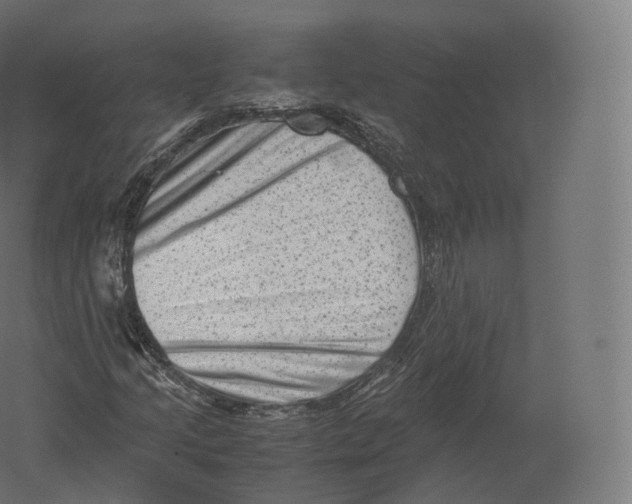 X0000060281205200511241512