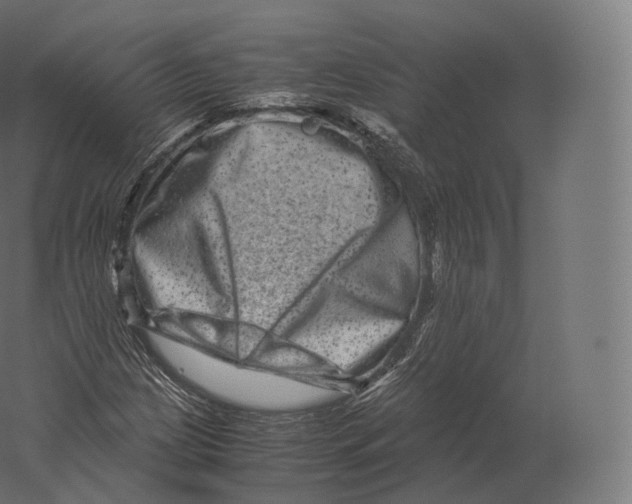 X0000060281209200511241512