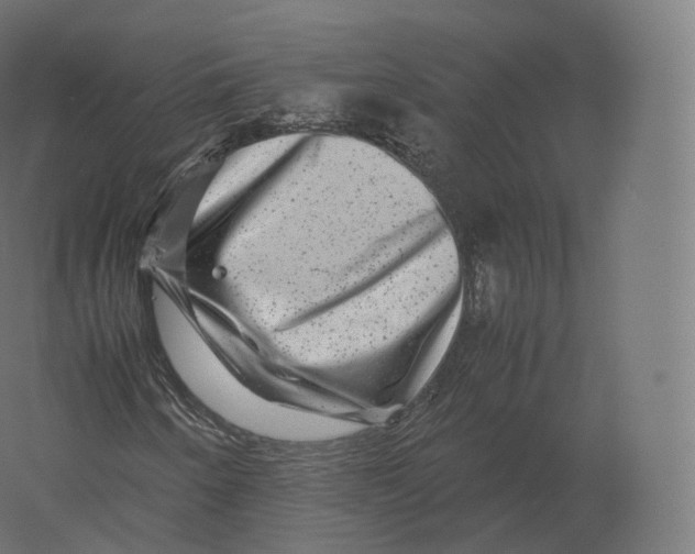X0000060281250200511241512