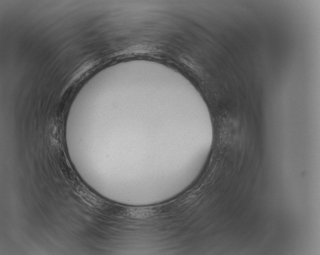 X0000060281258200511241512