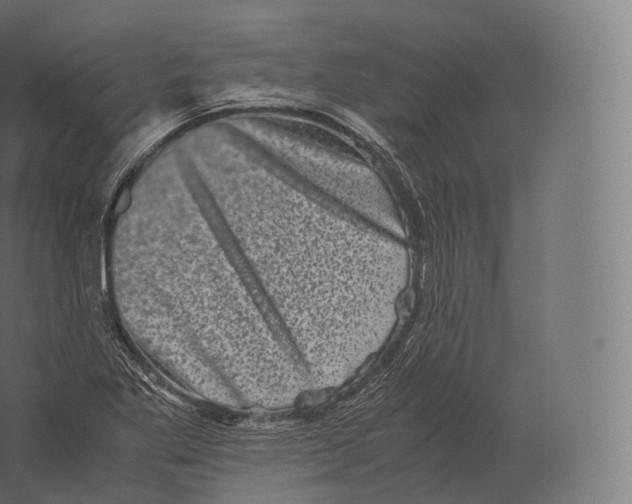 X0000060281269200511241511