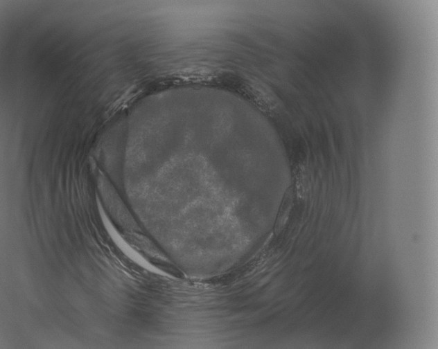 X0000060281298200511241510