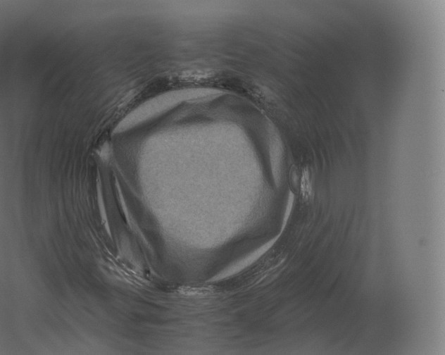 X0000060281299200511241510