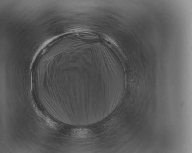 X0000060281323200511241511