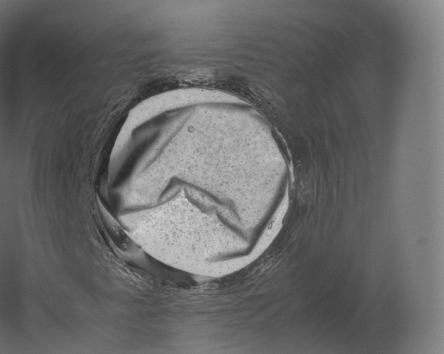 X0000060281345200511241510