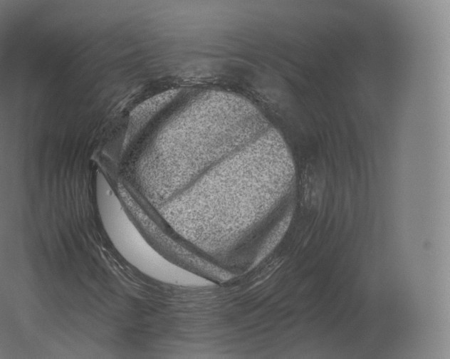 X0000060281346200511241510