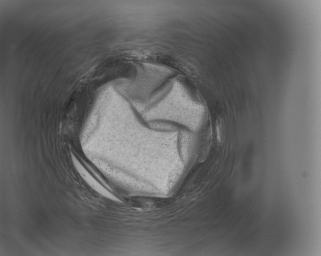 X0000060281347200511241510