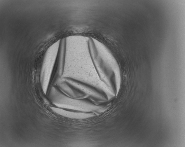 X0000060281349200511241510