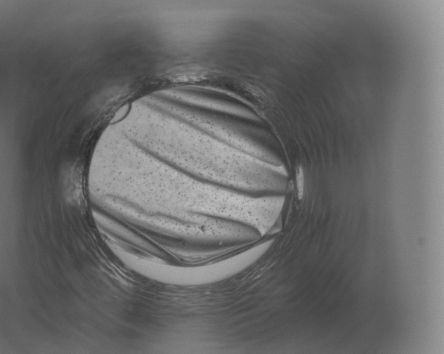 X0000060281444200511241508