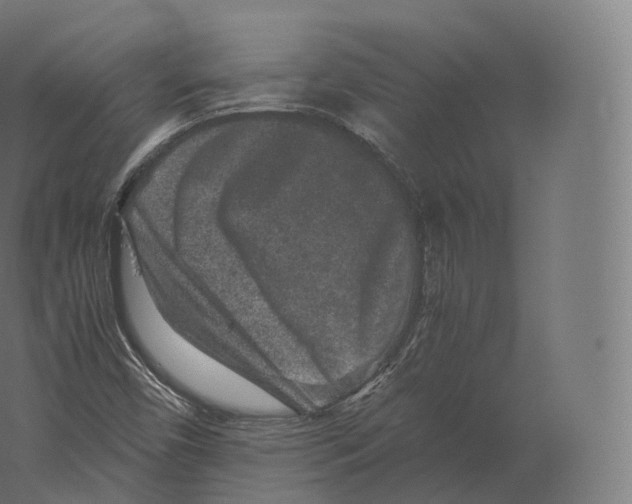 X0000060281450200511241508