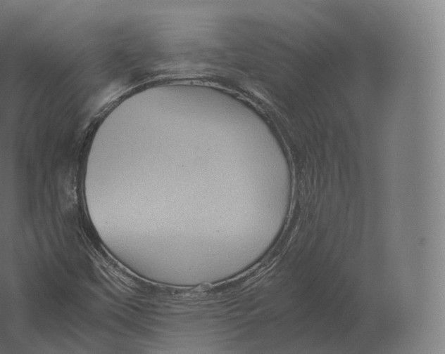 X0000060281451200511241508
