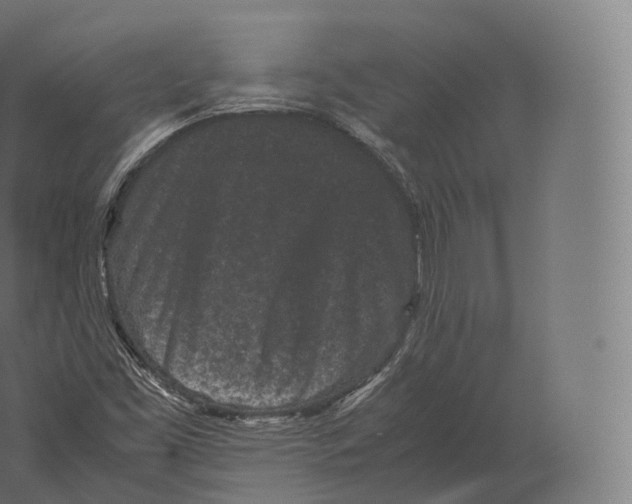 X0000060281453200511241508