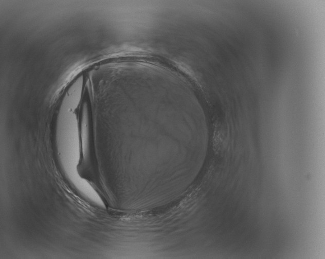 X0000060281455200511241508