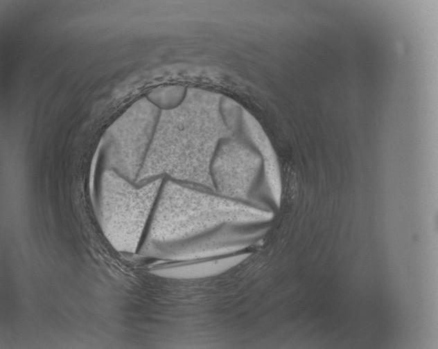 X0000060281489200511241507