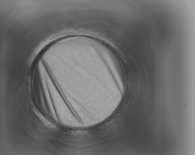 X0000060281503200511241507