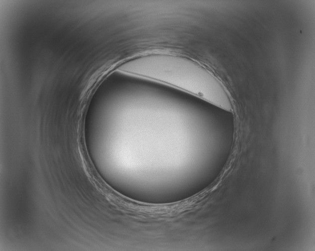 X0000060550001200511030904