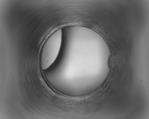X0000060550002200511030904