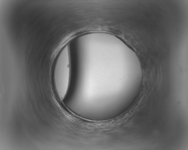 X0000060550005200511030904