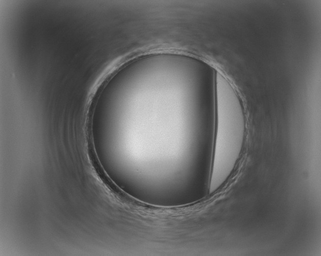 X0000060550007200511030904