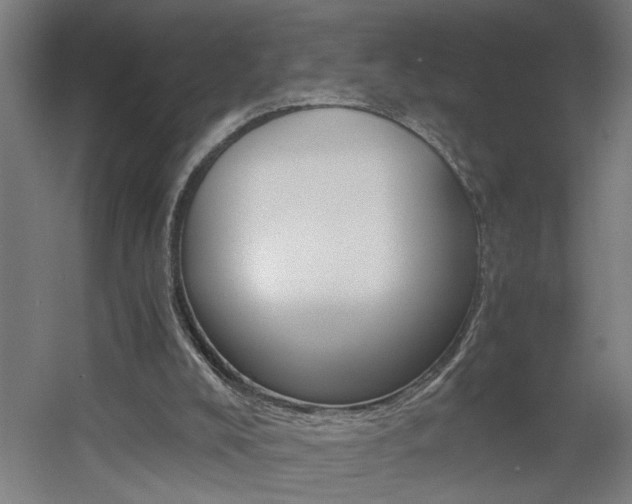X0000060550008200511030904