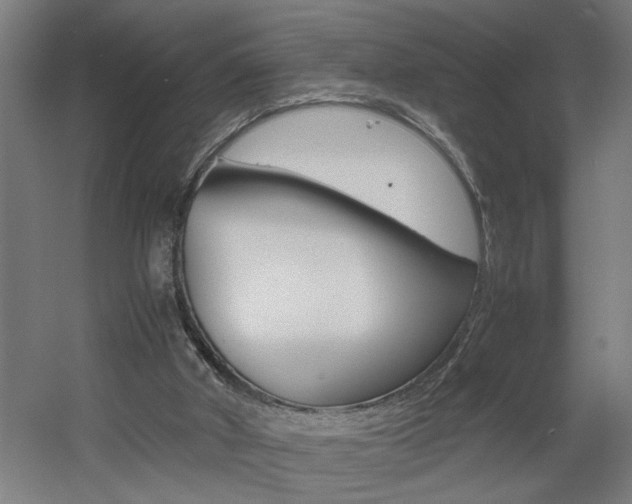 X0000060550010200511030904