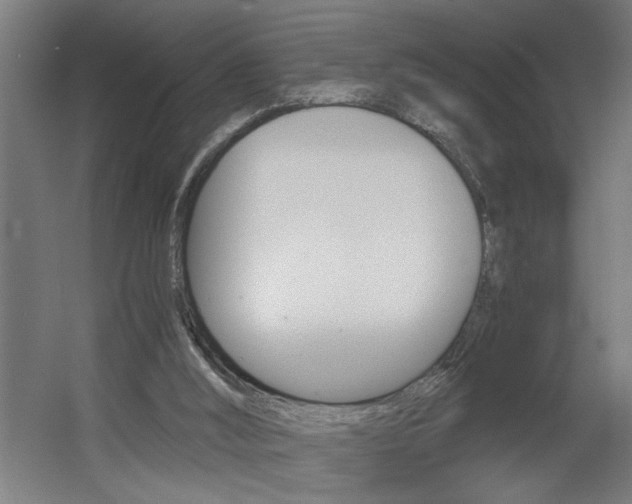 X0000060550012200511030904