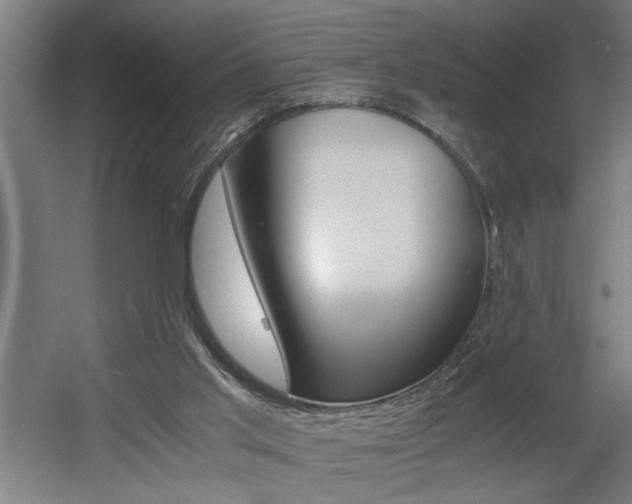 X0000060550013200511030904