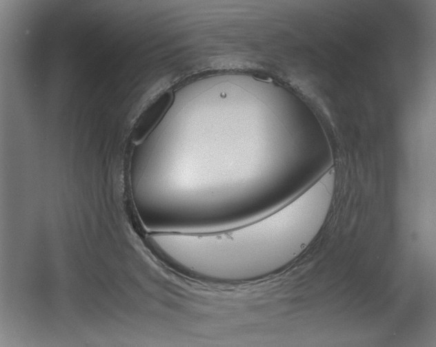 X0000060550015200511030904