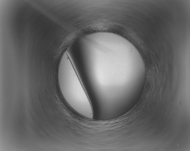 X0000060550023200511030904