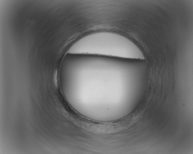 X0000060550024200511030904