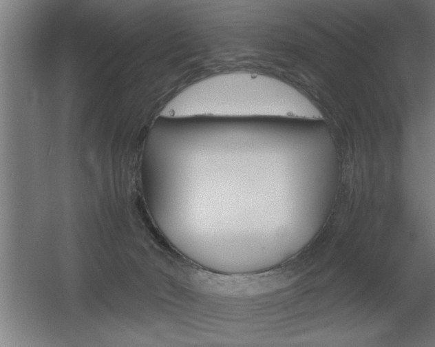 X0000060550030200511030904