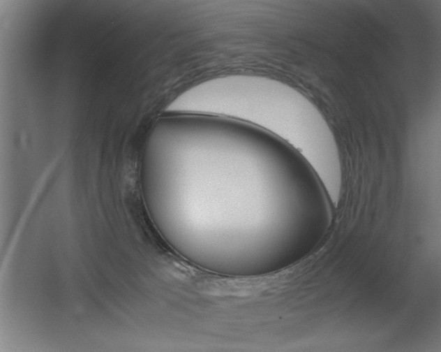 X0000060550033200511030904