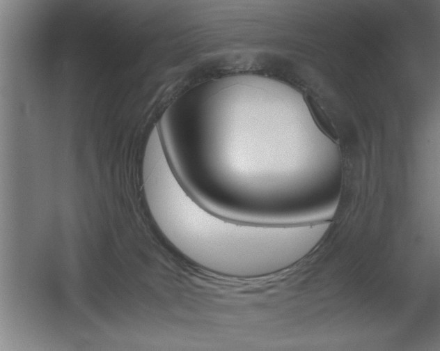 X0000060550035200511030903