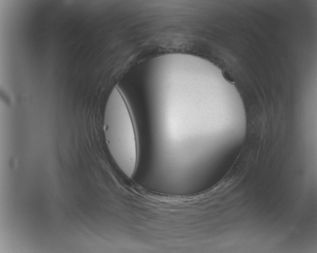 X0000060550040200511030903